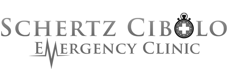 Schertz